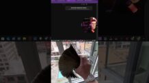 Configurações para CRESCER SEU CANAL DARK 14